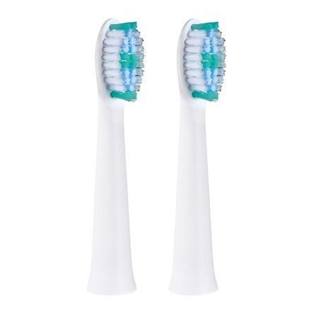 Panasonic | WEW0974W503 | Toothbrush replacement | Heads | For adults | Number of brush heads included 2 | Number of teeth brush
