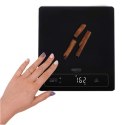 Camry | Kitchen Scale | CR 3175 | Maximum weight (capacity) 15 kg | Graduation 1 g | Display type LED | Black