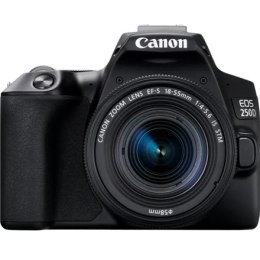 Canon EOS | 250D | Obiektyw EF-S 18-55mm IS STM | Brązowy | Srebro