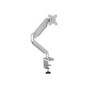 Fellowes arm for 1 monitor -  Platinum silver | Fellowes