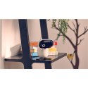 Motorola | Wi-Fi HD Motorized Video Baby Camera | PIP1010 | Zdalne przesuwanie, pochylanie i powiększanie; Dwukierunkowa rozmowa