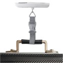 Adler | Travel Luggage Scale | AD 8191 | Maksymalna waga (udźwig) 50 kg | Dokładność 10 g | Szary