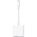 Female | 4 pin USB Type A | Apple Lightning | Male | Apple Lightning | White