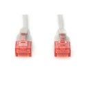 Digitus | Kabel patch | Gruby patchkord CAT 6 U-UTP | 1,5 m | Szary | Wtyczka modularna RJ45 (8/8) | Przezroczysty czerwony kone