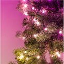 Guirlanda Prezynkowa Twinkly z 50 lampkami Smart LED RGBW (Wielokolor + Biały) | Twinkly | Długość 2,5 m | 16M+ kolorów + Ciepły