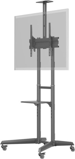 Goobay Floor stand | 59508 TV Presentation Stand Pro (Size L) | Adjustable Height, Tilt | 37-70 