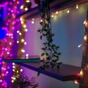 Twinkly|Strings Smart LED Lights 100 RGB (Multicolor), 8m, czarny przewód|RGB - 16M+ kolorów